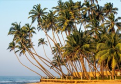 Car hire Colombo
