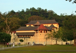 Car hire Kandy